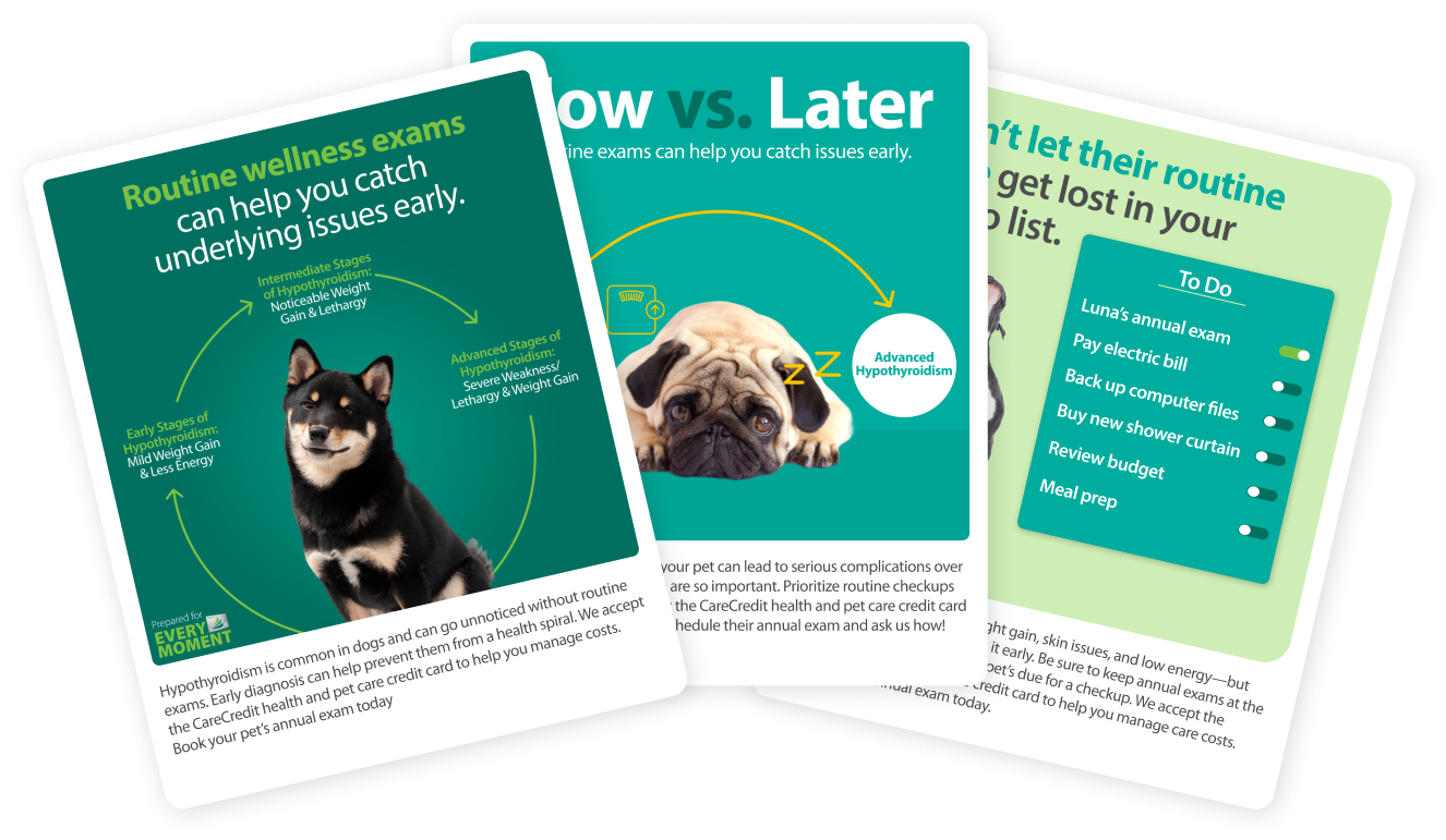 Example social media post cards